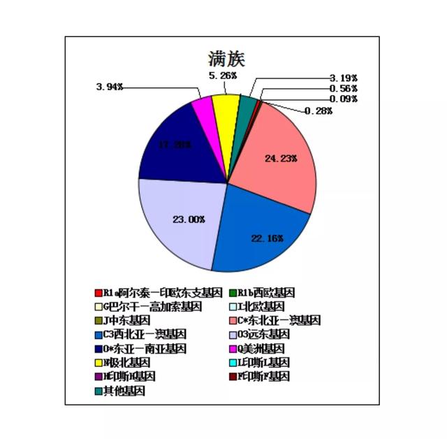 华夏族是指什么民族，中华民族简史