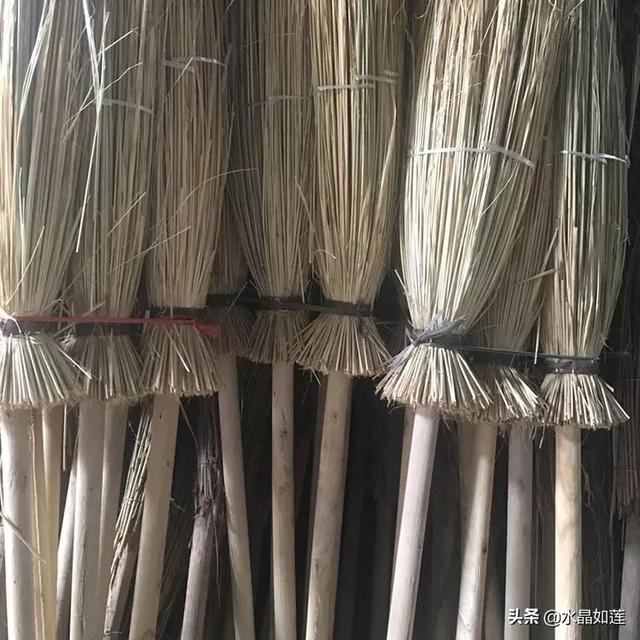 10种代表春天的动物，春天的动物有哪些（塞北动植物们话辛丑牛年时节）