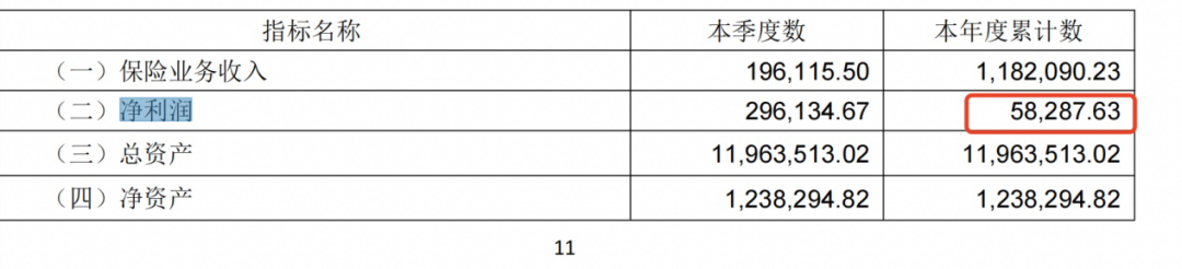 民生人寿保险公司（万向系）