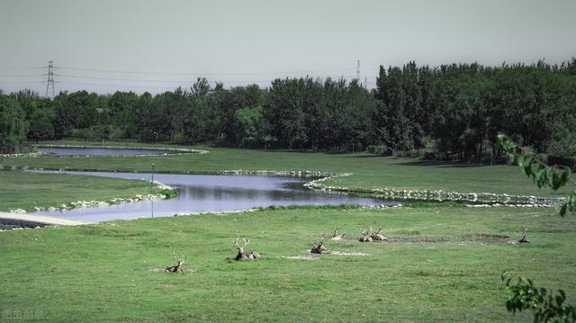 北京湿地公园有哪些景点好玩，北京公园推荐︱10个值得一去的免费公园