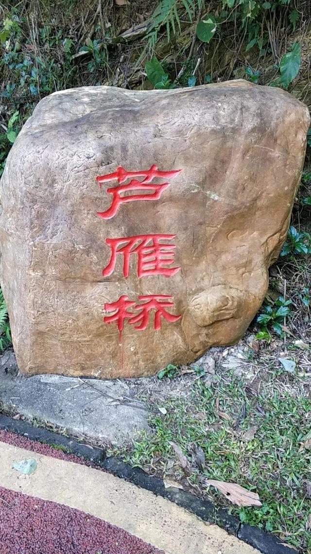 一公里多少步，一公里多少步 成人（游记：绿道2+5）