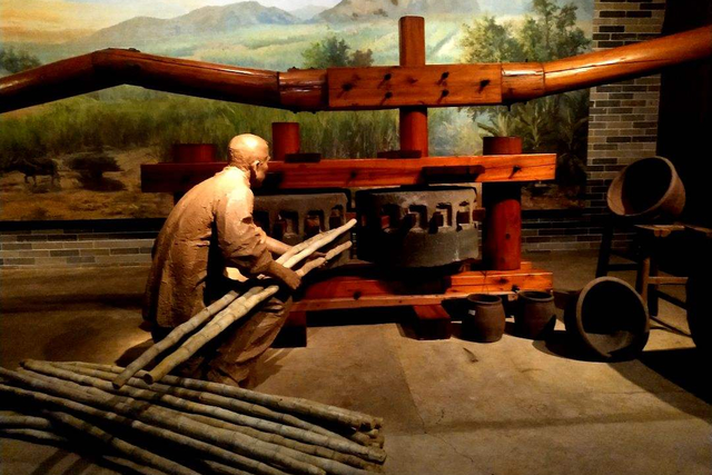 西瓜的糖属于什么糖，什么是西瓜糖（为什么西瓜这么甜没人选择它去制糖）