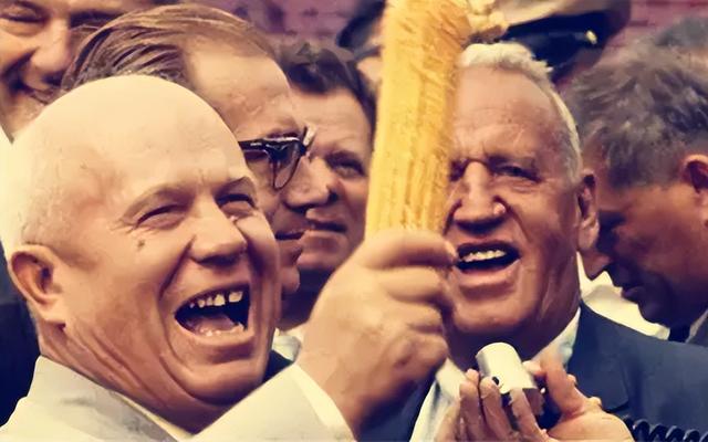 玉米男孩原型图片，玉米男孩图片是真的吗（苏联航天员科马洛夫之死）