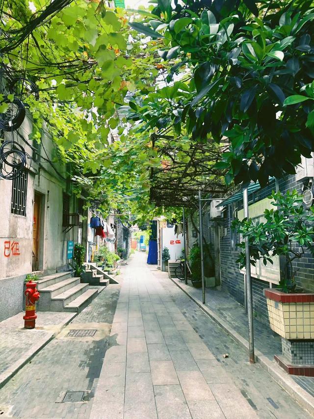 广州北京路步行街有什么好玩的，广州北京路一日游最佳路线（很多人错过这条古色古香的市井小巷）