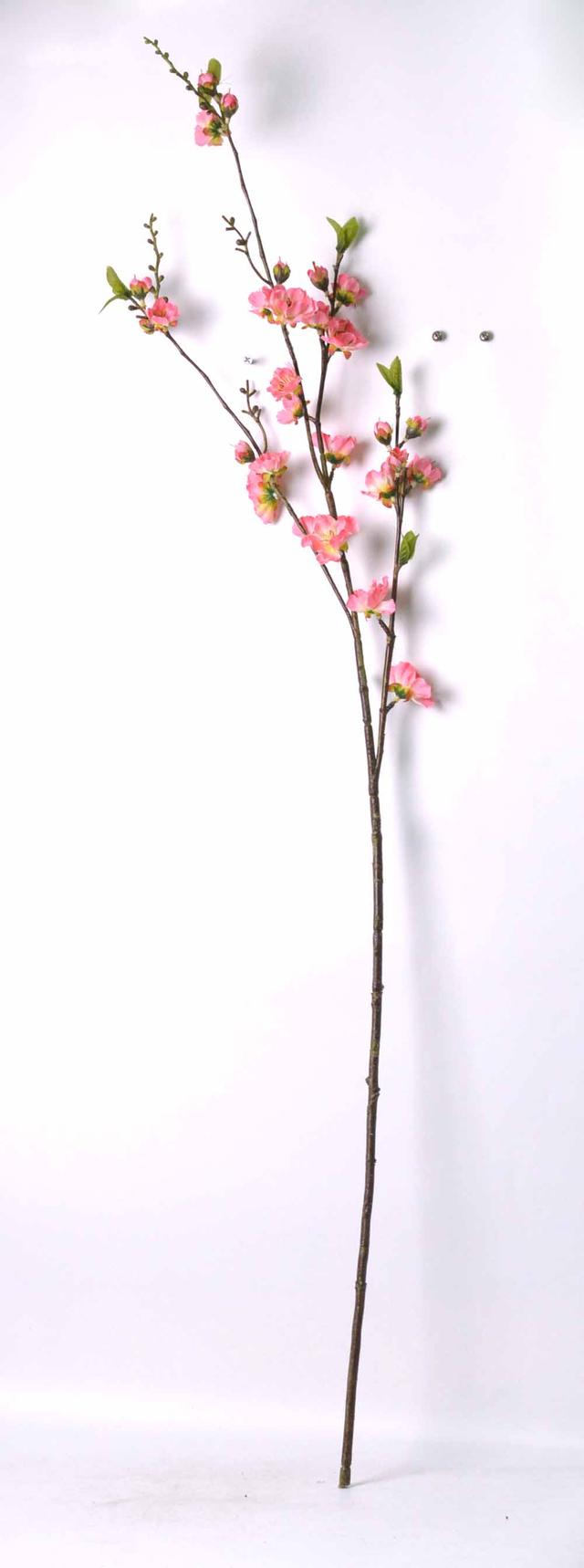 桃花的花语是什么意思，桃花的花语与象征