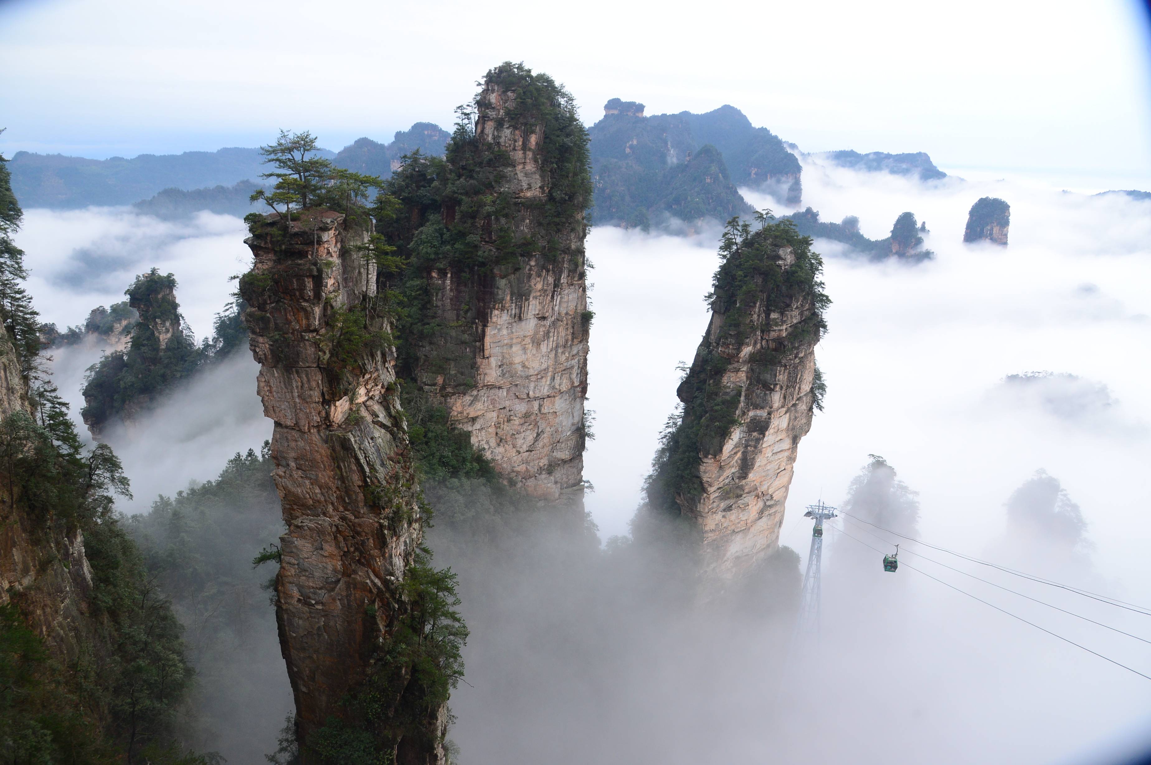 我想去看看国际旅行社（疫情放开后）