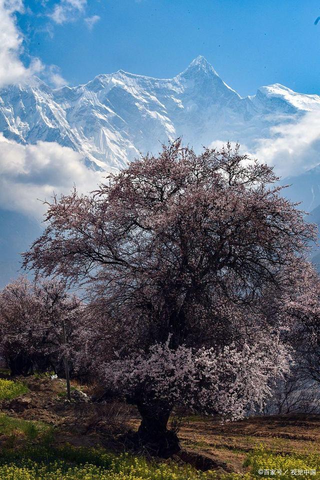 林芝旅游攻略，因为它有无与伦比的山水背景