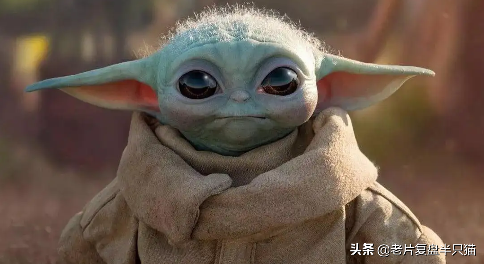星球大战人物实力排名(星球大战) - 营销号