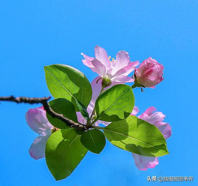 拍照片基本技巧，拍照片基本技巧和方法（可以提升照片的美感）