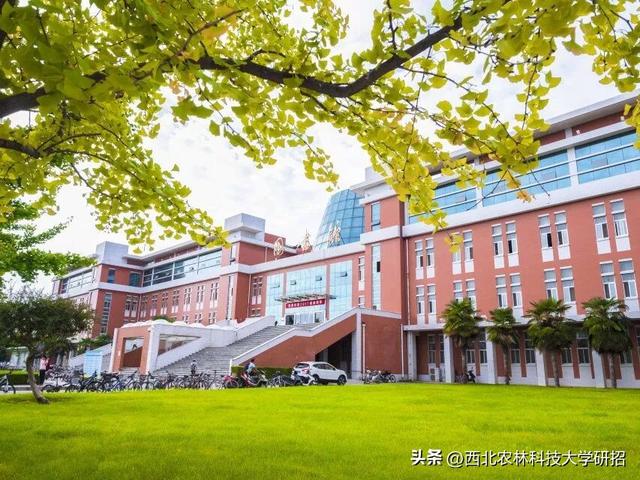 西北农林科技大学录取分数线，2022年985大学录取分数线-39所985大学排名及分数线（西北农林科技大学硕士研究生历年录取分数线）