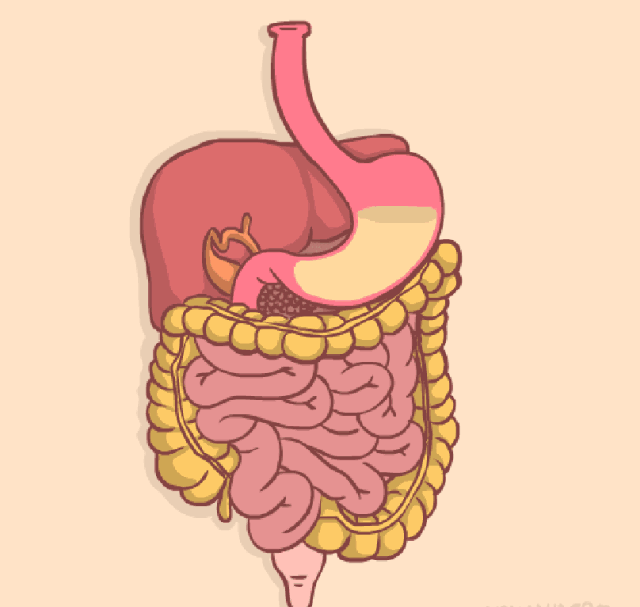 孕妇可以吃韭菜吗，孕妇可以吃韭菜饺子吗（身体会发生什么变化）