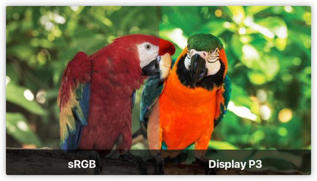 笔记本显示器当台式机显示器，笔记本可以接台式机显示器吗（2022显示器选购终极攻略618）