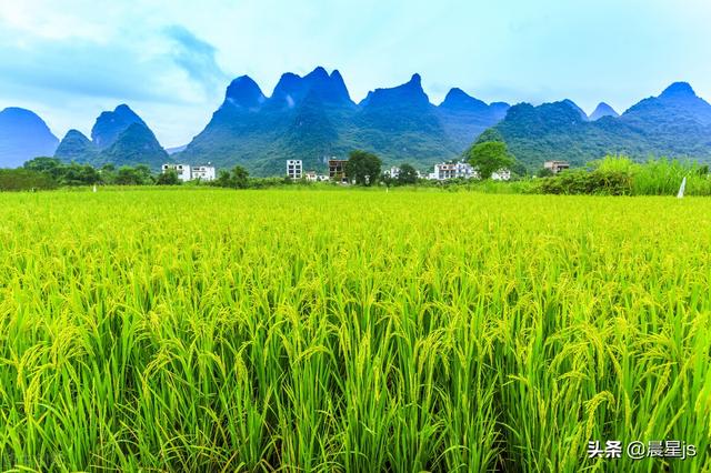 工作优势怎么写，简历中个人优势怎么写（要学会认清自己的优势）