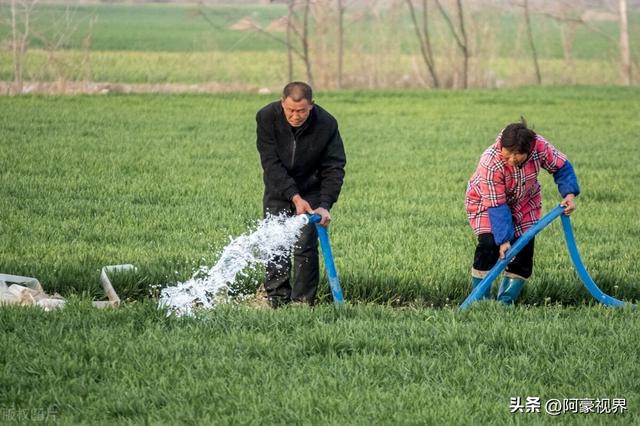 四个季节分别是几月，四季分别是哪几个月（今年双春年不一般）