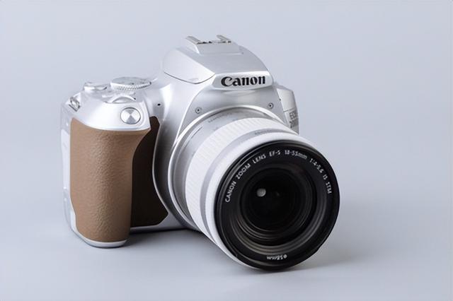 入门级单反相机推荐，推荐4款适合新手入门的微单相机（谁会是最后一款热销的单反相机）