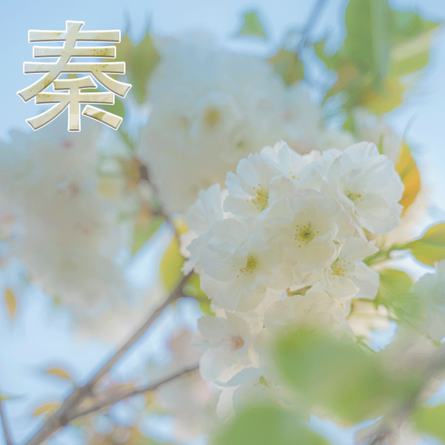 思考人生人生是你，微信头像，思考人生人生是你（成功的路上有门必修课叫孤独、积极思考造就积极人生）