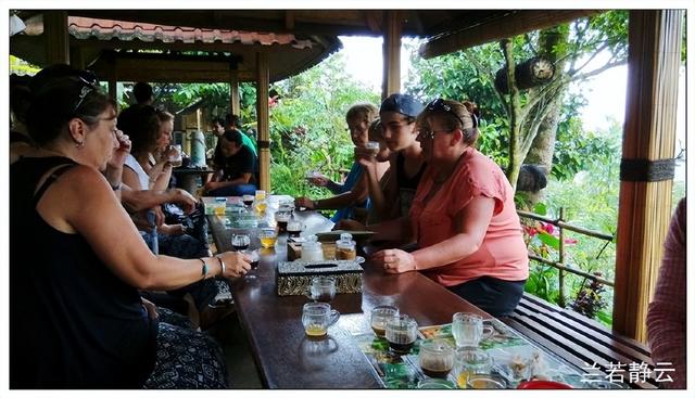 猫屎咖啡的价格，猫屎咖啡多少钱一杯（印尼巴厘岛旅游）