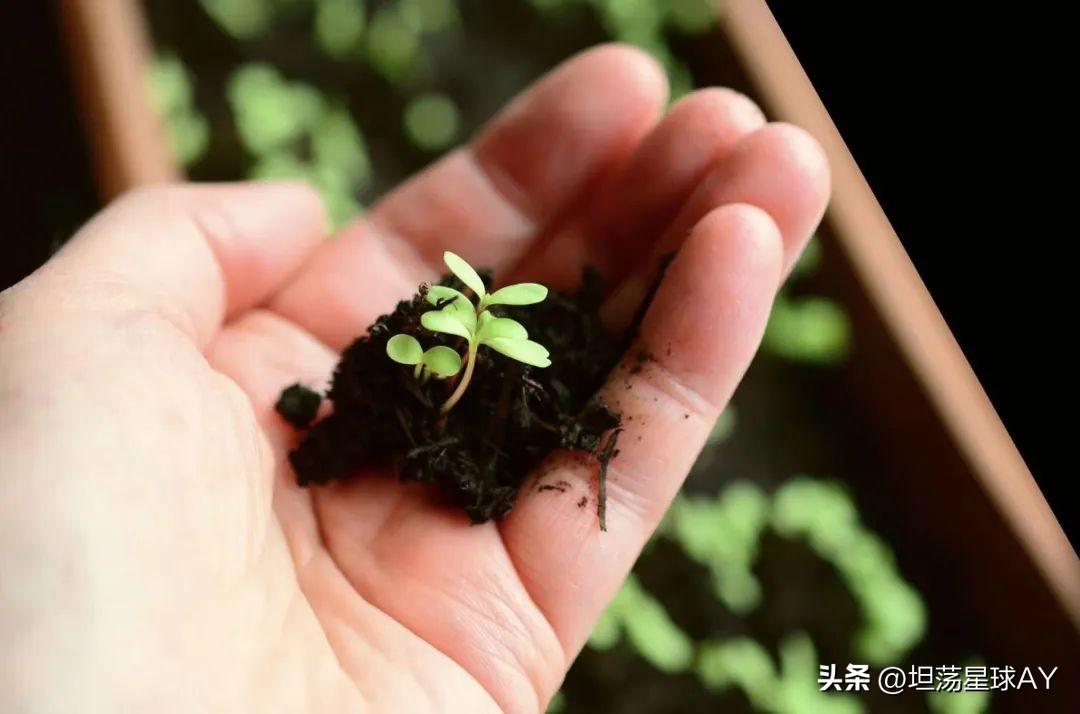 女人发抖音最火的句子伤感，女人发抖音容易火的句子（这一代孩子远比我们想象的更痛苦、更深刻……）