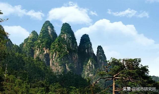 关于五指山介绍，关于五指山介绍的文章（跟《西游记》中的五行山没关系）