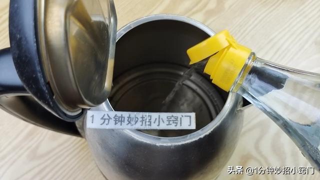 电水壶去水垢的方法，电水壶去水垢的好方法（电热水壶里撒一把）