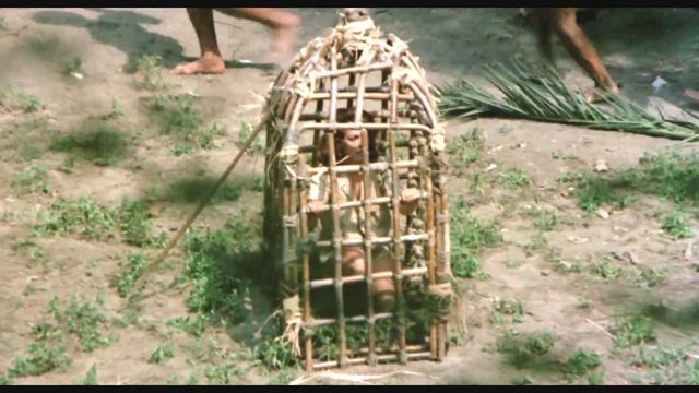 食人族电影介绍，人食人食人族电影（美艳记者寻访食人族险成生育神祭品）