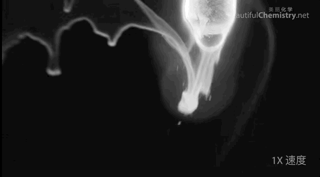 儿童科普纪录片，适合儿童看的科普片（9部孩子必看的顶级纪录片）