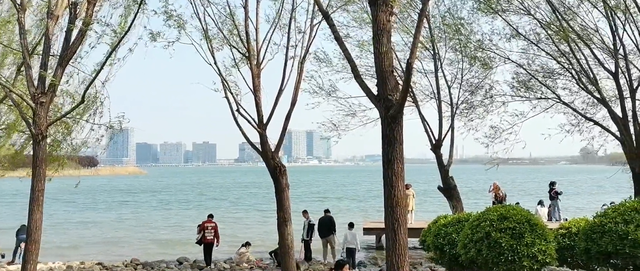 郑州周边免费景点，郑州最近免费旅游景点大全（不出郑州的8个赏花遛娃地）