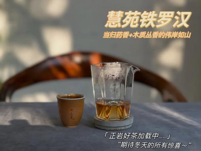 铁罗汉是什么茶，铁罗汉茶属于什么茶（不识慧苑老丛铁罗汉）