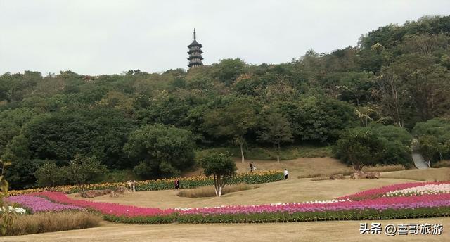 海宁市属于哪里的，哪个地区的哪个地区（浙江嘉兴海宁市值得游玩的旅游景点有哪些）