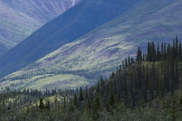 形容天气好的句子，形容天气好的句子成语（<那些描写微风的好词好句>）