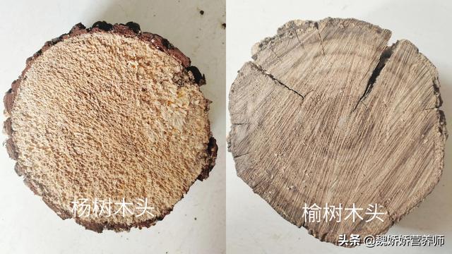 每天运动体重不减反增怎么办，运动后体重不减反增（运动后体重不降，反而越来越重）