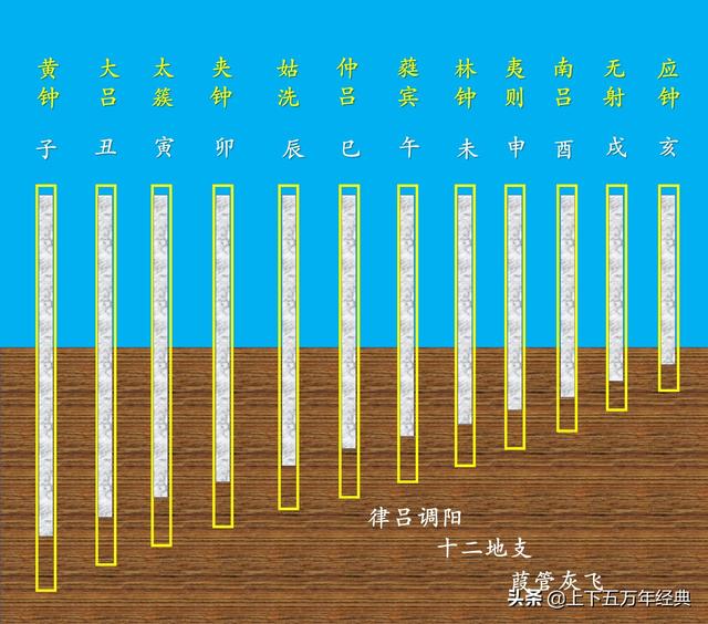 9寸「9寸多大」，二十八星宿与十二次、十二地支、二十四节气的关系