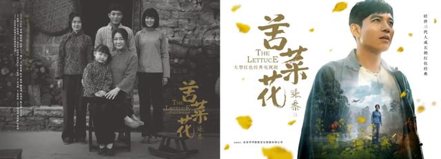 新版苦菜花电视剧免费，看这对母子齐心抗日（新版苦菜花电视剧免费播放）