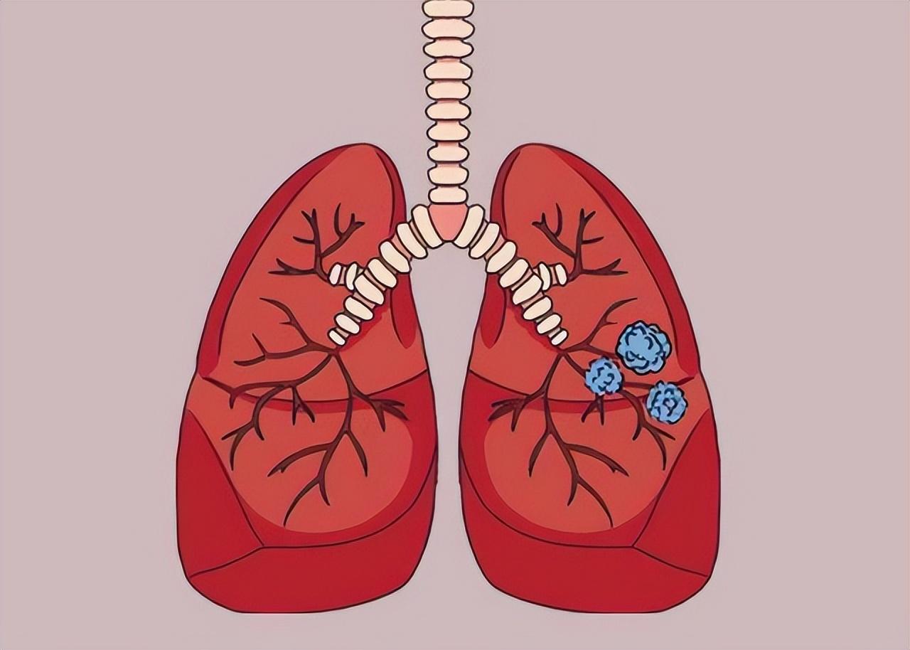 科兴生物（多网友声称）