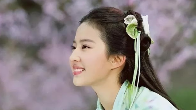 戚薇主演过的电视剧，戚薇演过的电视剧（给“公主演得最好的10个演员”排个名）