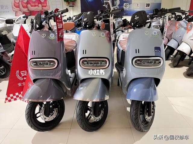 中国电动车质量排名，电动车十大排名有哪些车（2022年电动车销售榜前10都有谁）