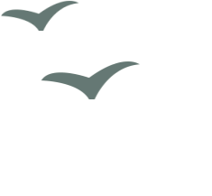 有诗意的岛屿名字，唯美的岛屿名字（跟着古诗游霞浦丨浮鹰岛）