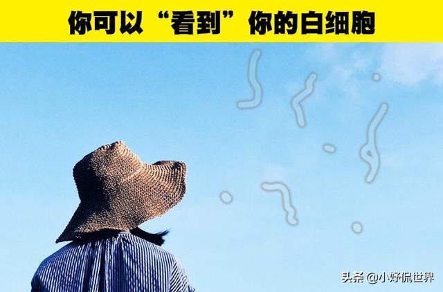 生物的冷知识，生物冷知识及其原因（你可能没有在生物课上学过的9个有趣事实）