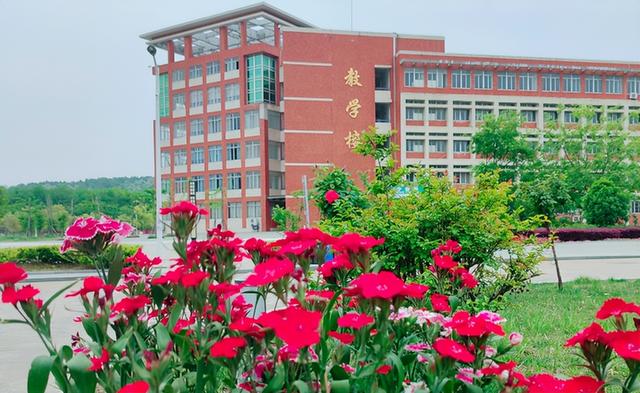 淮南师范学院是一本还是二本，淮南师范学院算好二本吗（淮南师院升为“一本大学”）