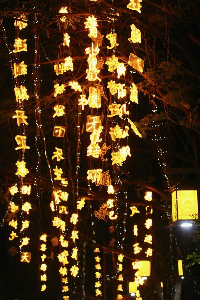 东阿阿胶产地山东哪里，山东厦门福牌阿胶（山东这座被低估旅游城市）