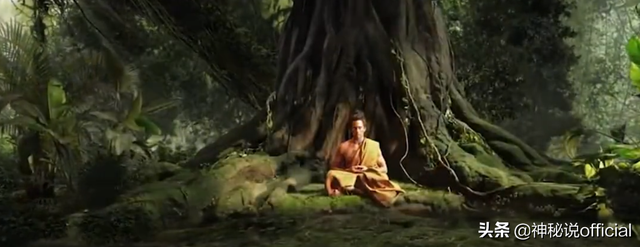 释迦牟尼佛的故事，释迦牟尼佛的故事全集（佛陀在末法时代看到什么）