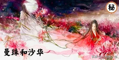 彼岸花什么时候开花，彼岸花一般什么时候开花（彼岸花——黄泉路上唯一的风景）