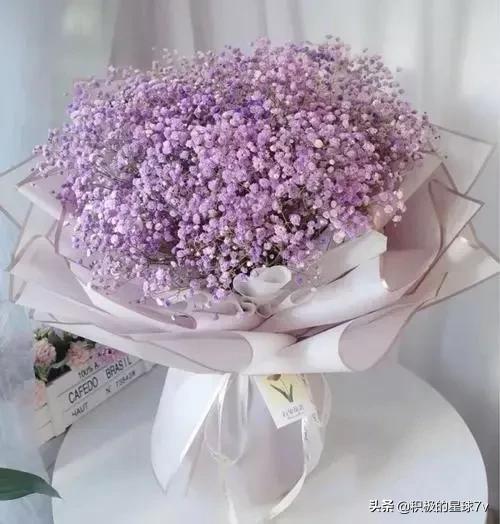 各种花的花语及寓意花语，各种花的花语和象征（你知道这些花的花语吗）