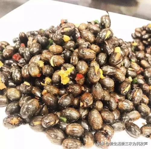 九香虫怎么养好，九香虫的生长环境（十种不被待见的昆虫）