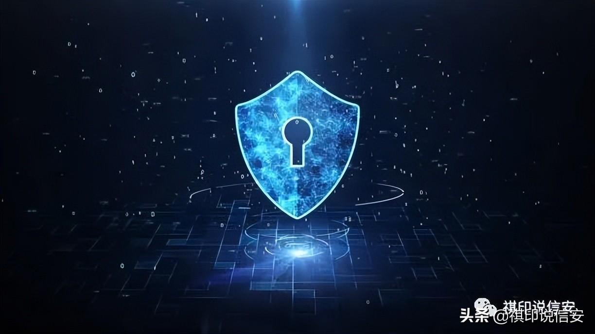 公司治理案例分析（数据安全）