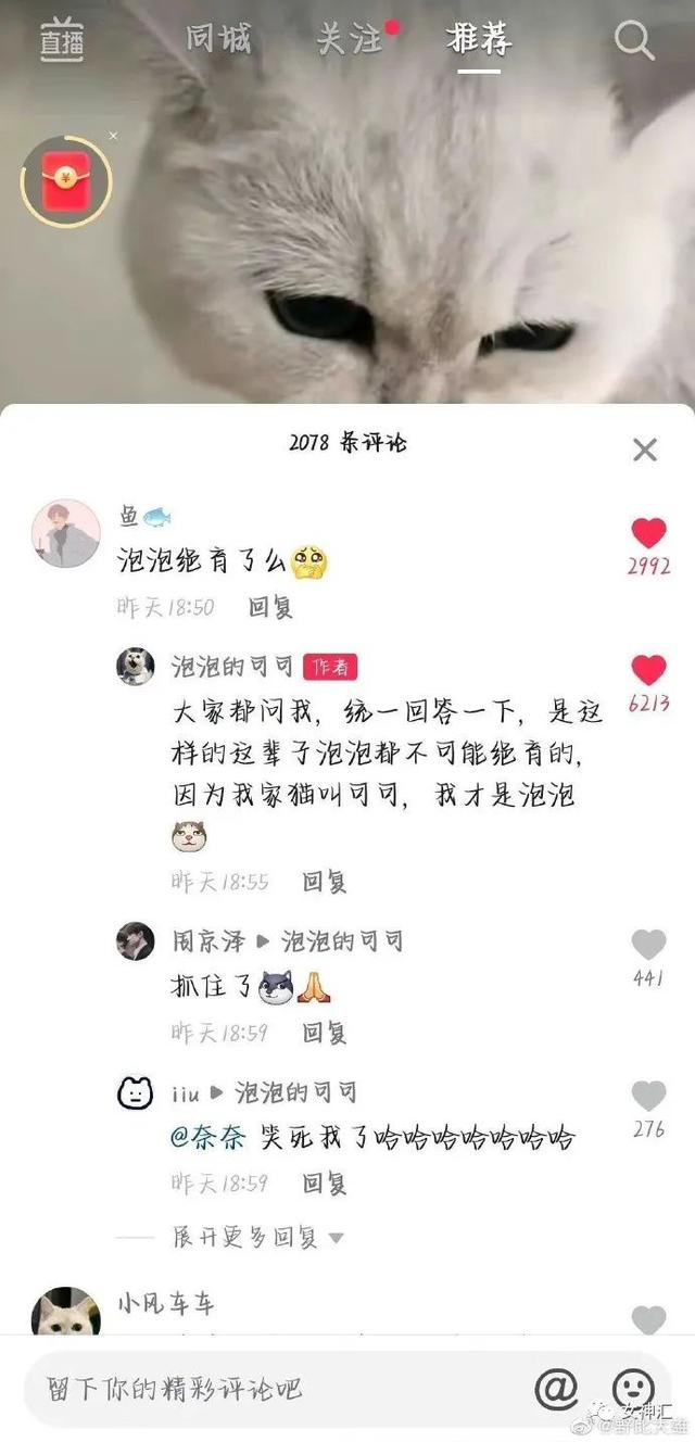 衣服码子的大小怎么区分，衣服的尺码大小怎么分（网购千万记得看清尺码哈哈哈哈哈有这衣服都不用租房了）