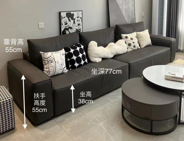 复合板材有哪些特点，复合板材有多少种（一篇长文告诉你“沙发”的选购指南）