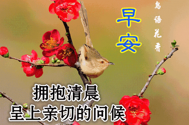 正能量早安问候语，简短正能量早安问候语（早安心语，正能量经典说说句子）