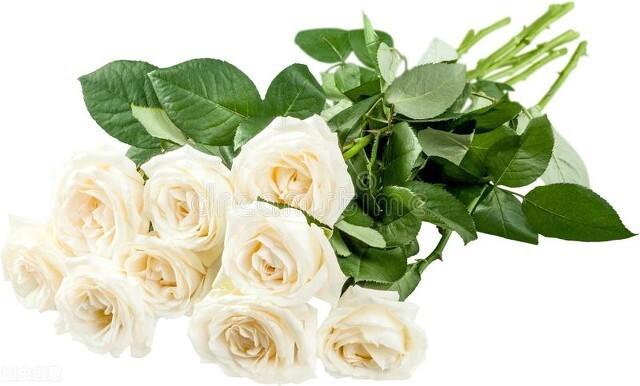 父亲节2022年是几月几日，fuqinjie（一生二二生三三生万物）