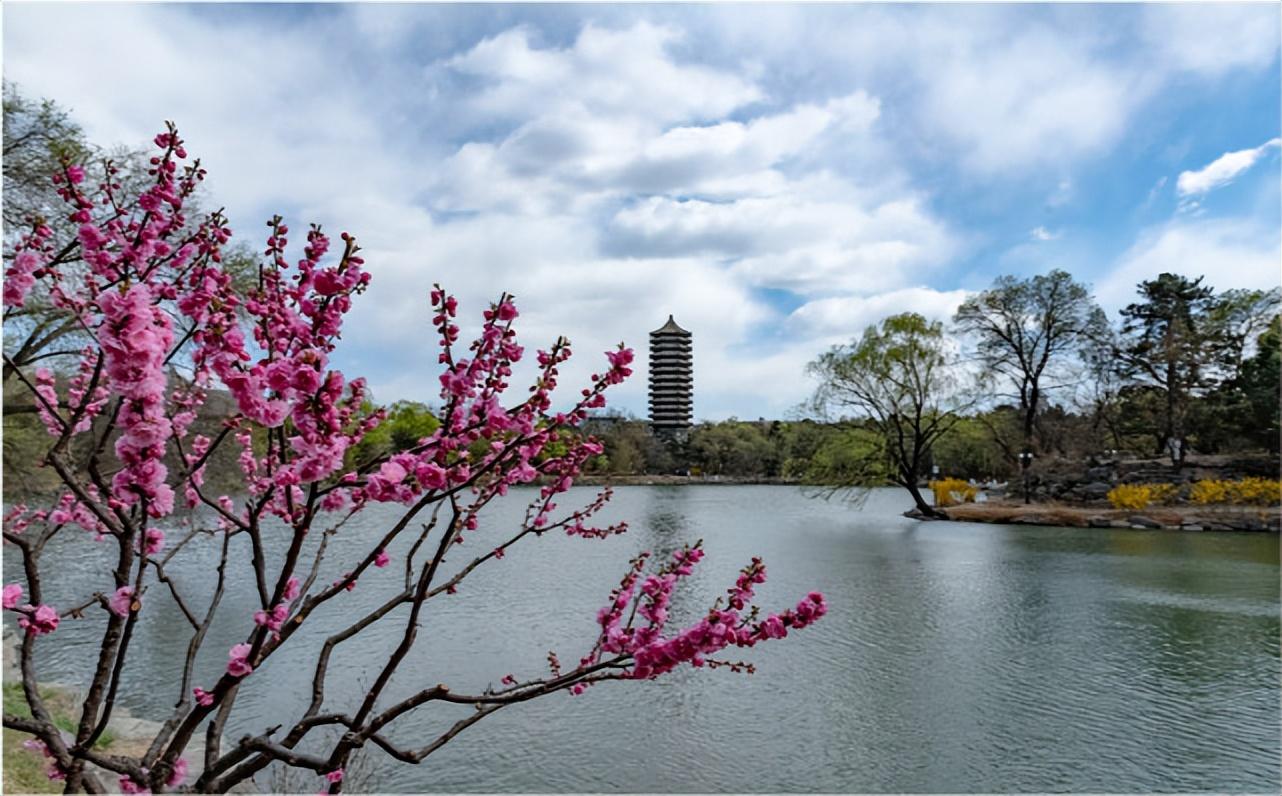四川航空学校排名（北清科大前3）